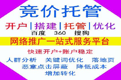 推广竞价策略解析：成功案例分享